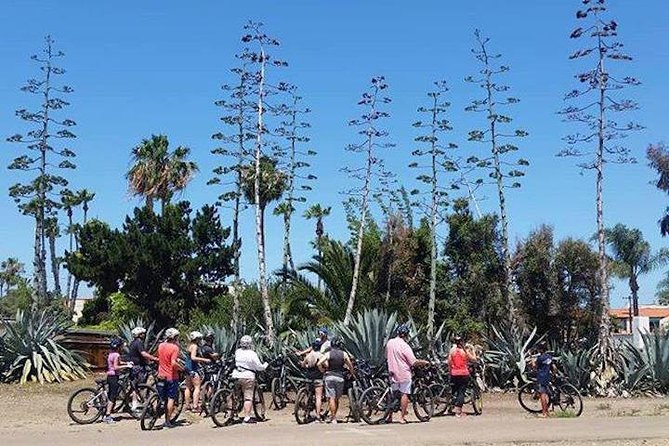 SoCal Riviera Electric Bike Tour of La Jolla and Mount Soledad - Mount Soledad National Veterans Memorial