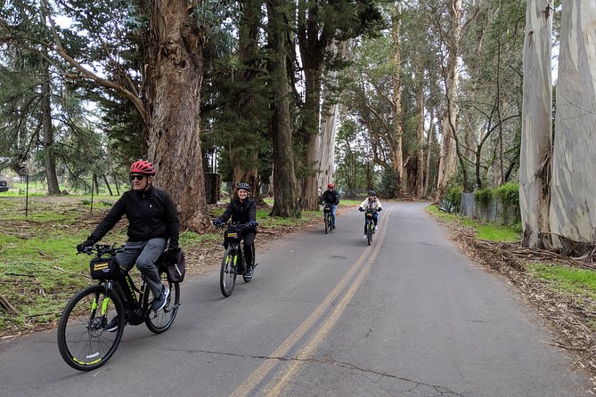 Sonoma Valley Pedal Assist Bike Tour with Lunch - What this Sonoma bike tour feels like