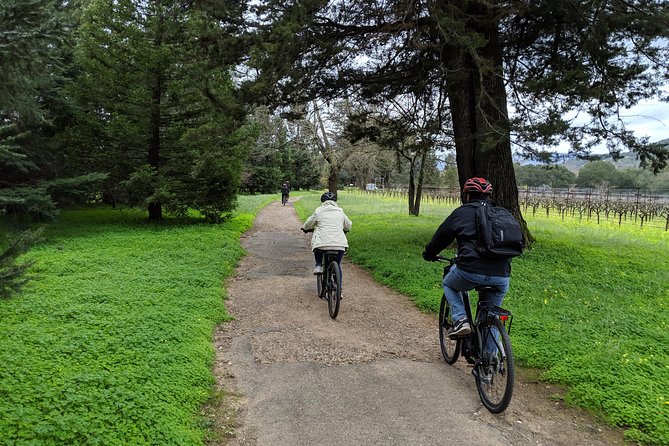 Sonoma Valley Pedal Assist Bike Tour with Lunch - Winery stops at Honrama, Buena Vista, or Gundlach Bundschu