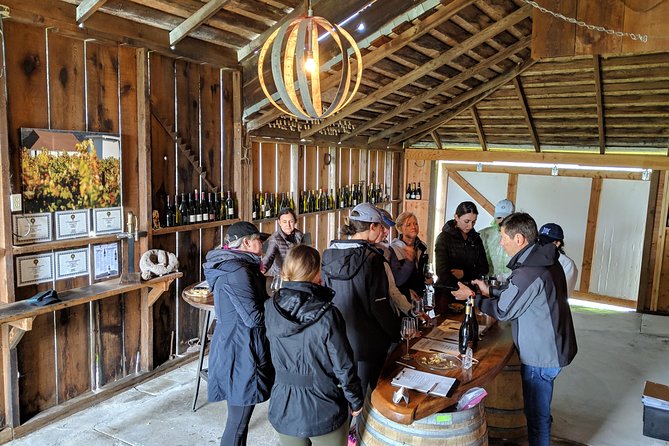 Sonoma Valley Pedal Assist Bike Tour with Lunch - A fresh picnic lunch at a winery