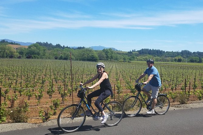 Sonoma Valley Pedal Assist Bike Tour with Lunch - Starting around Sonoma Plaza and the Vallejo Home