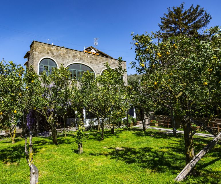 Sorrento: Coast E-Bike Tour with Limoncello Tasting - Who will enjoy this Sorrento bike tour most?