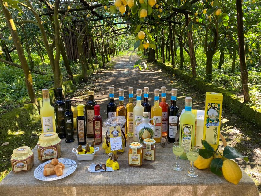 Sorrento: Coast E-Bike Tour with Limoncello Tasting - The e-bike makes the peninsula’s hills friendlier