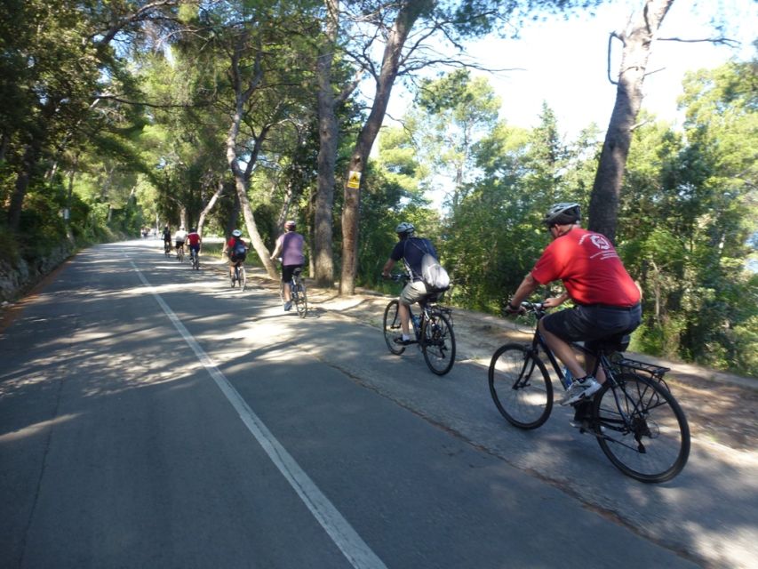 Split 3-Hour Guided Bike Tour - Sustipan, cliffs, and a different side of Split