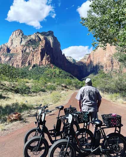 Springdale: Guided eBike Tour in Zion National Park - Key points at a glance