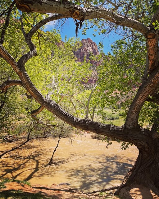 Springdale: Guided eBike Tour in Zion National Park - What the early 7 a.m. departure changes