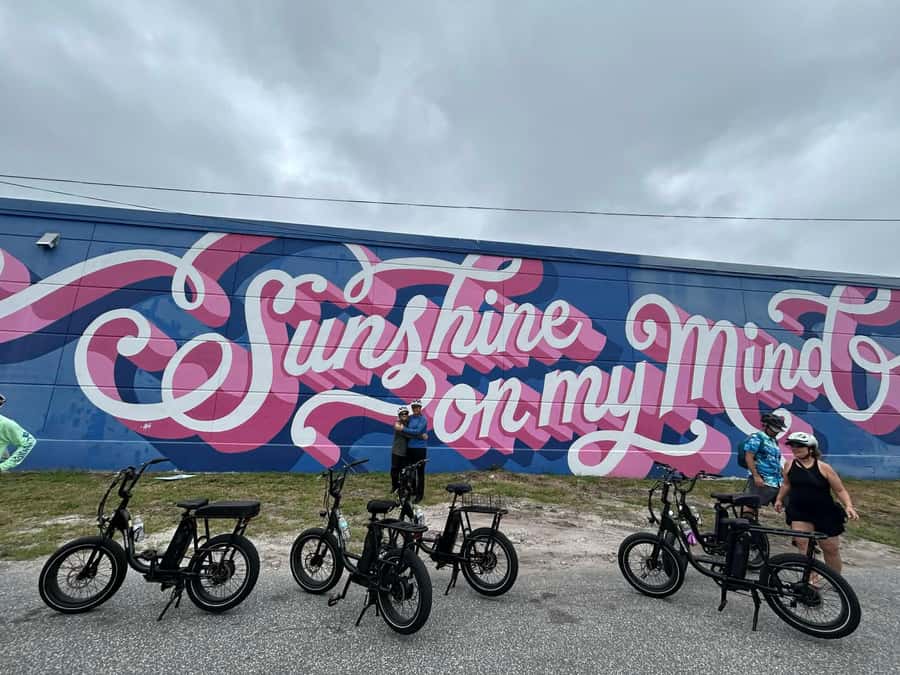 St. Petersburg, FL: Sightseeing & Murals Electric Bike Tour - Historic Buildings and Local Stories