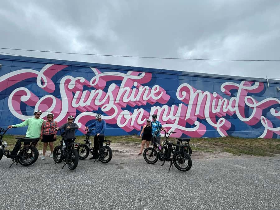 St. Petersburg, FL: Sightseeing & Murals Electric Bike Tour - The Dali Museum and Albert Whitted Park