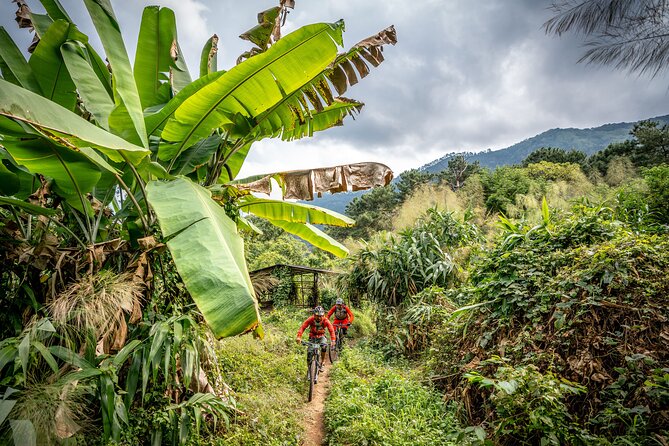Stairway to Heaven Trail Mountain Biking Tour Chiang Mai - What the Stairway to Heaven ride is really like