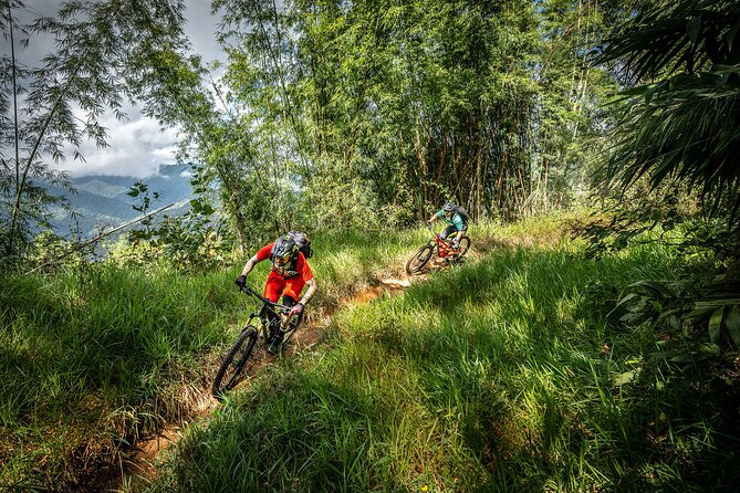 Stairway to Heaven Trail Mountain Biking Tour Chiang Mai - The first climb is the day’s big test