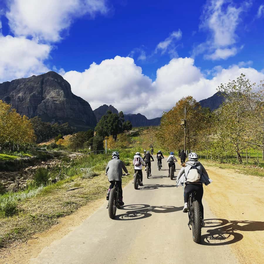 Stellenbosch: Countryside Banhoek valley E-Bike Wine Tour - Key Points Before You Book