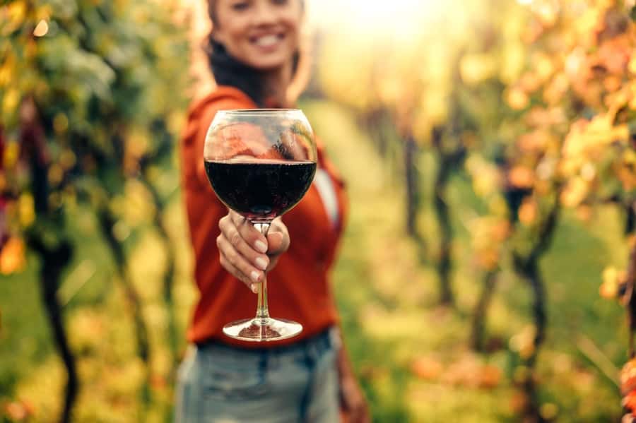 Stellenbosch: Countryside Banhoek valley E-Bike Wine Tour - What This Banhoek Valley Ride Is Really Like