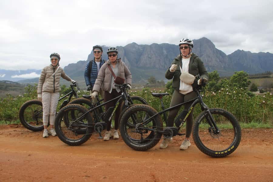 Stellenbosch: Countryside Banhoek valley E-Bike Wine Tour - Who Will Enjoy This Most?