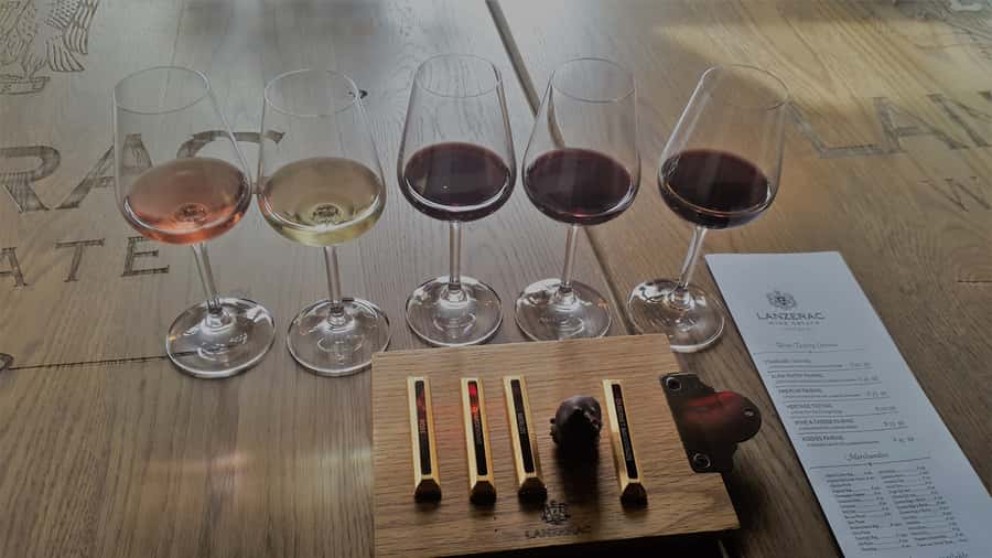 Stellenbosch: Historical Bike Tour & Wine Tasting - First estate: mountain views and award-winning wine
