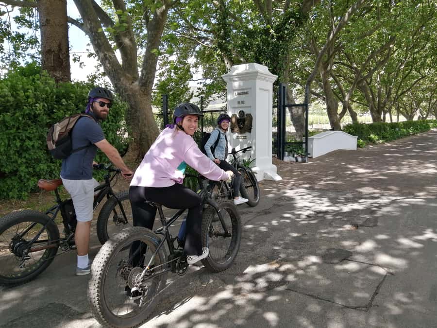 Stellenbosch: Wine Farm E-Bike Guided Tour - The first wine farm: tasting, photographs, and shopping