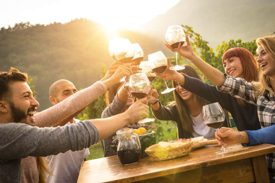 Stellenbosch: Wine Farm E-Bike Guided Tour - The second ride and the longer farm break