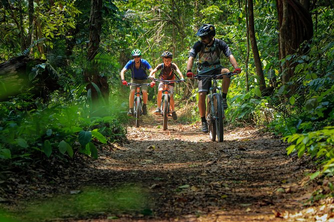 Sticky Waterfall Cycling Tour - The cave and forest stops add variety