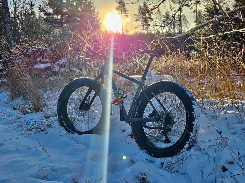 Stockholm: Fat Bike Forest Adventure with Lunch and Sauna - Key things to know before you book