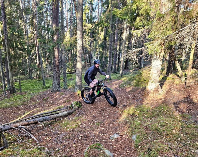 Stockholm: Fat Bike Forest Adventure with Lunch and Sauna - The break is useful, not filler