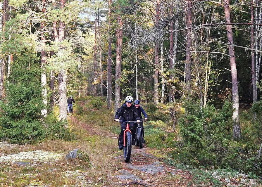 Stockholm: Fat Bike Forest Adventure with Lunch and Sauna - What the $138 price really covers
