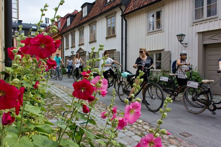 Stockholm: Södermalm E-Bike Tour - Key points to know before booking