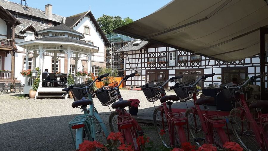 Strasbourg: 1-Day Bike Rental - Key points to know before you ride
