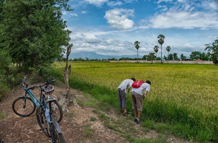 Sukhothai: Half-Day Countryside Bike Tour - The guides make the difference