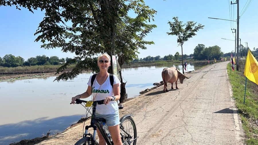 Sukhothai: Half-Day Countryside Bike Tour - Starting from central Sukhothai