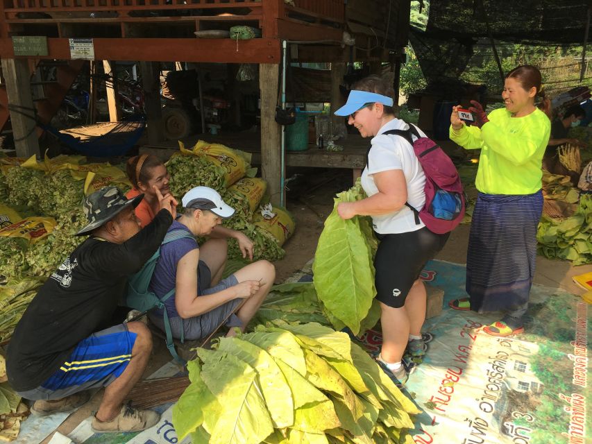 Sukhothai: Half-Day Countryside Bike Tour - Lunch, snacks, and the practical value of $32