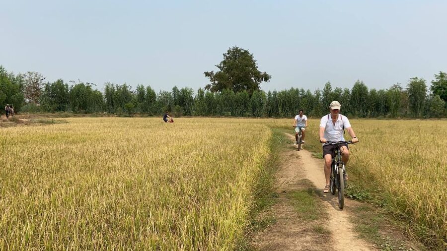 Sukhothai: Half-Day Countryside Bike Tour - Heat, distance, and who should skip it