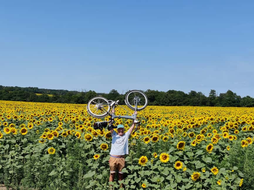 Szentendre by Bike: Self Guided Bike Rental Package! - Római Part: A good place for a break