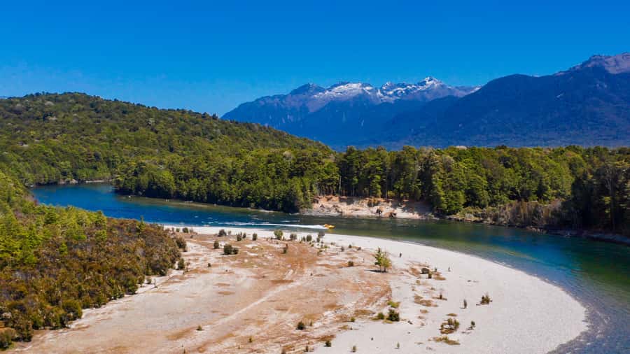 Te Anau: River Jet Boat and Bike Ride Tour with Local Guide - A 15-minute walk through beech forest
