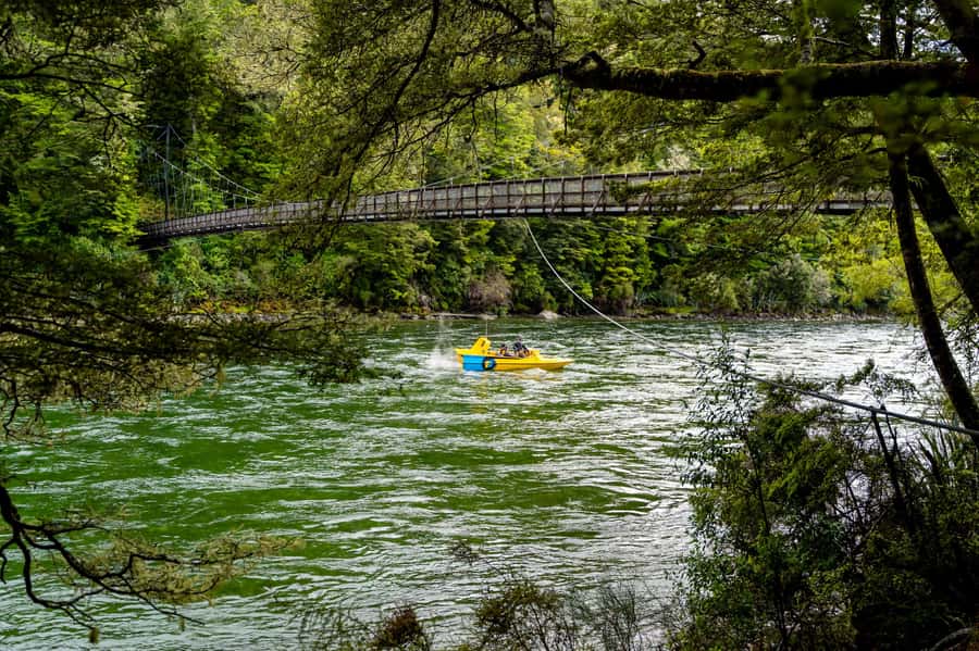 Te Anau: River Jet Boat and Bike Ride Tour with Local Guide - Back upriver, then onto two wheels