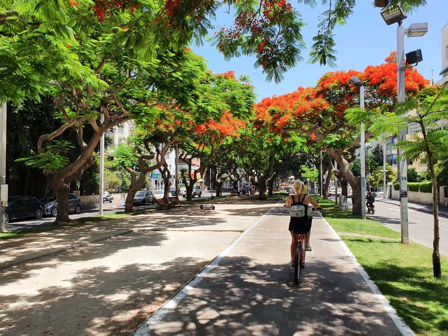 Tel Aviv 3-Hour Easy Bike Tour - Guides, explanations, and photographs
