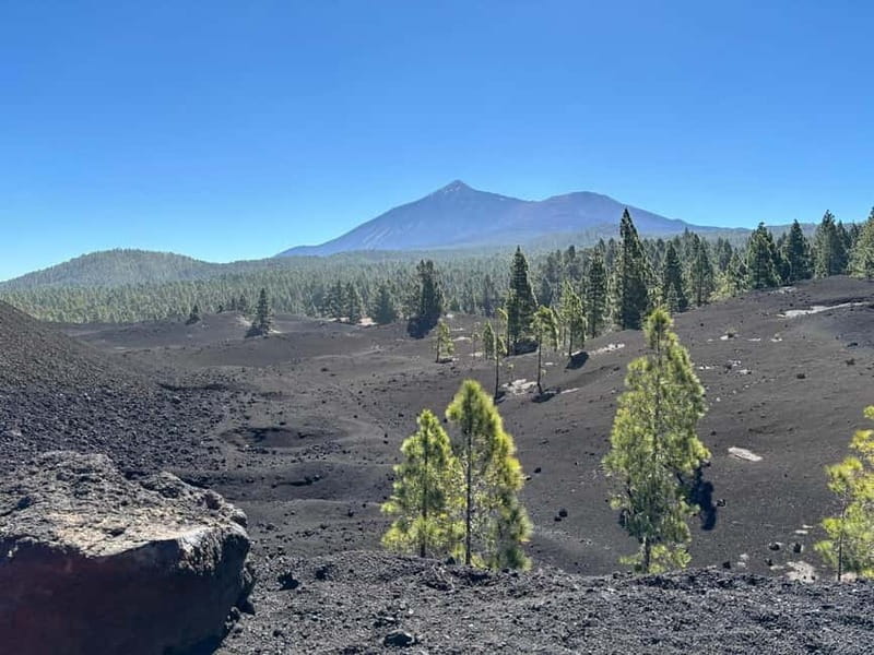 Tenerife: premium e-bike ride at Chineyro volcanic area - Chapels beside the 1909 eruption line