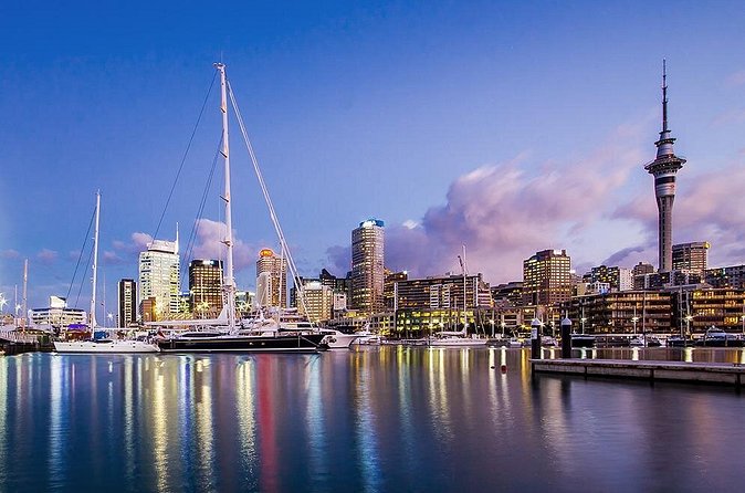 The City Lights: a unique electric bike tour of Auckland by night! - Grafton Gully, Grafton Bridge, and the return