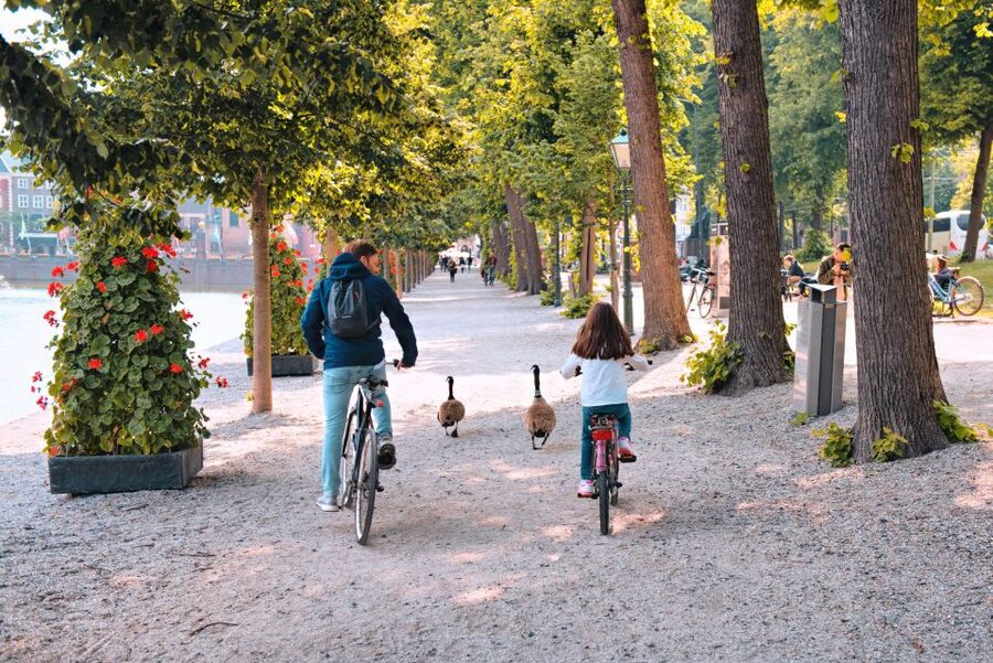 The Hague: Highlights Bike Tour - Key points to know before booking