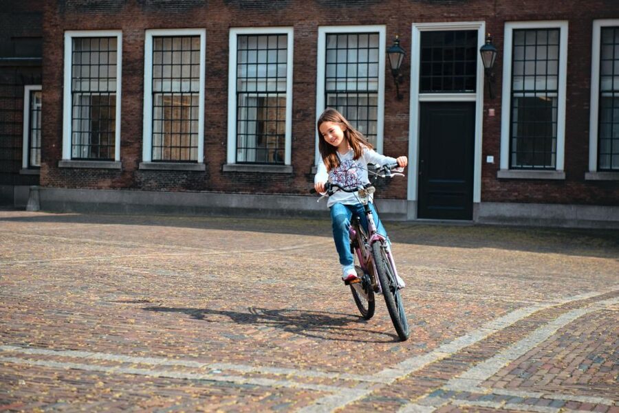 The Hague: Highlights Bike Tour - Why a bike works so well in The Hague