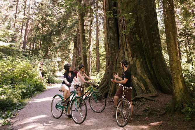 The Stanley Park Bicycle Tour by Cycle City Tours - The seawall, skyline, and North Shore Mountains