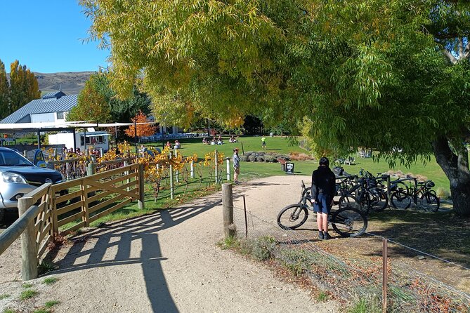 The Ultimate Lake Dunstan Bike Hire And Boat Experience - Why this Lake Dunstan ride works so well