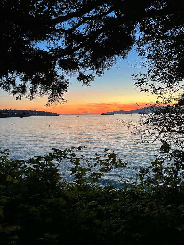 The Ultimate Stanley Park E-Bike Tour - Price, group size, and overall value
