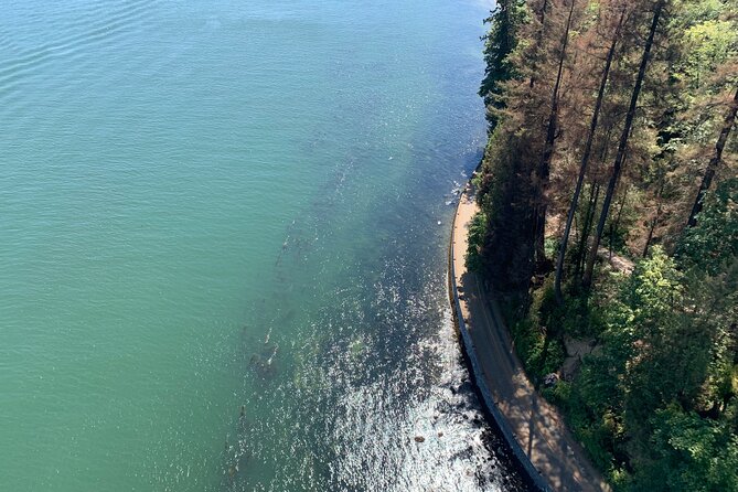 The Ultimate Stanley Park E-Bike Tour - What the guide contributes