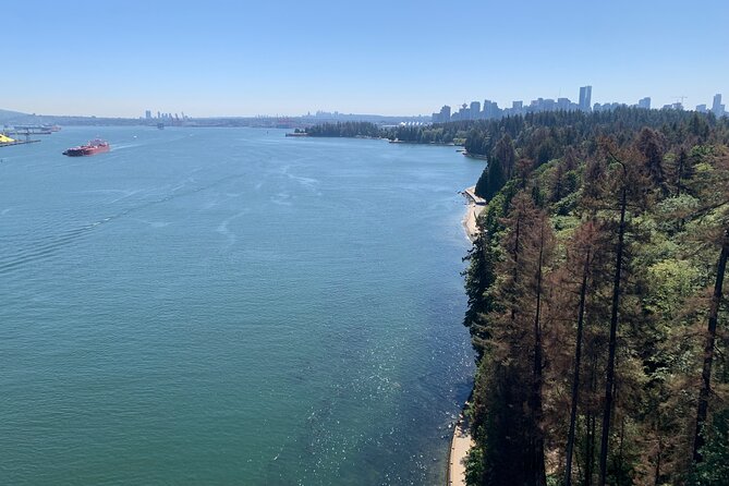 The Ultimate Stanley Park E-Bike Tour - Pickup from your hotel makes the morning easier
