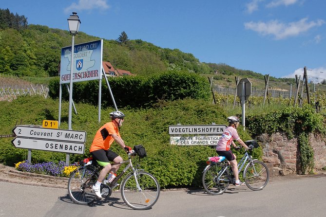 Through Alsace Vineyards and Wine Villages Private Bike Tour - Riding through Grand Cru vineyards