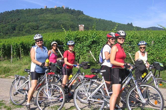 Through Alsace Vineyards and Wine Villages Private Bike Tour - The Vœgtlinshoffen winery tasting