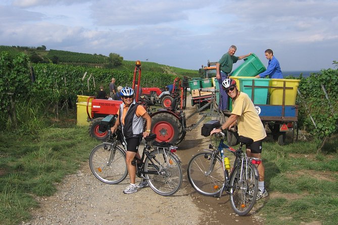 Through Alsace Vineyards and Wine Villages Private Bike Tour - What the private format changes