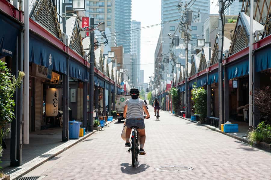 Tokyo: 3-hour Guided E-Bike Tour of the City's Hidden Gems - Tokyo City Route: the most balanced introduction