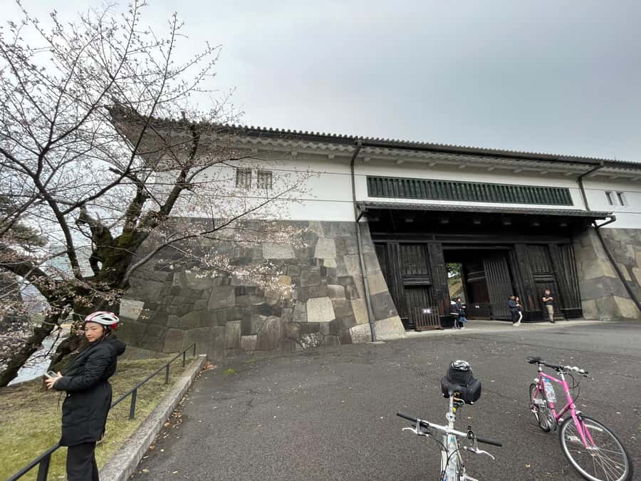 Tokyo: Discover Traditional Tokyo Full-Day Bicycle Tour - Ginza and Kabukiza from two wheels