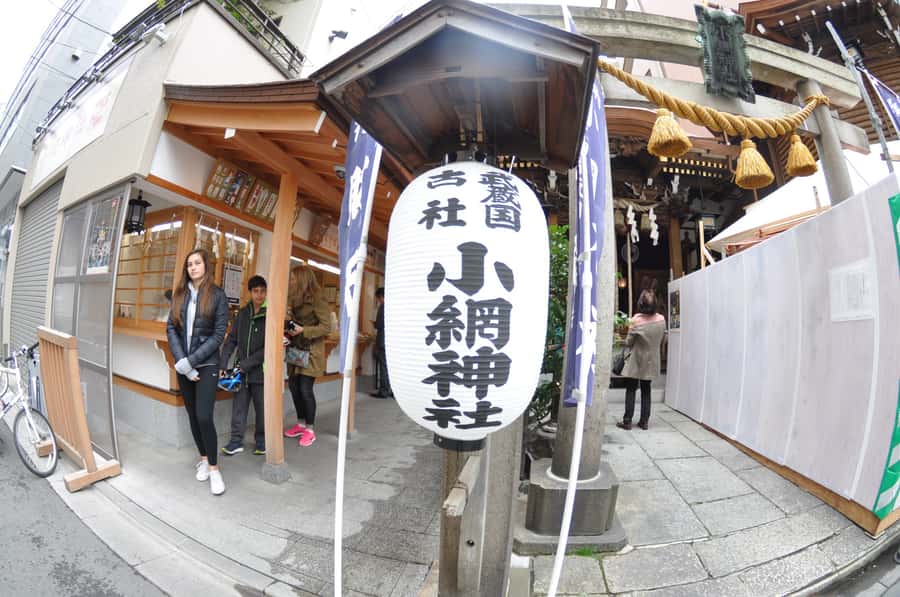 Tokyo: Discover Traditional Tokyo Full-Day Bicycle Tour - Temples, shrines, and quieter Tokyo
