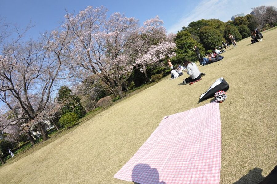 Tokyo: Private Cycling Tour with cute E-bike - Who Should Book This Tokyo Bike Tour?